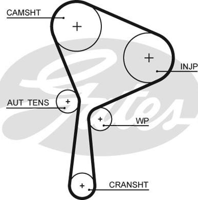 Gates 5654XS - Timing Belt parts5.com