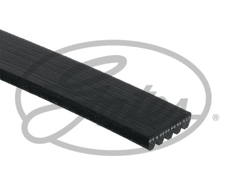 Gates 58341XS - V-Ribbed Belt parts5.com