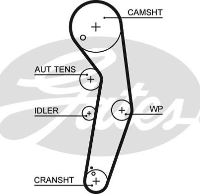 Gates K055569XS - Timing Belt Set parts5.com