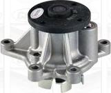 Graf PA1136 - Water Pump parts5.com