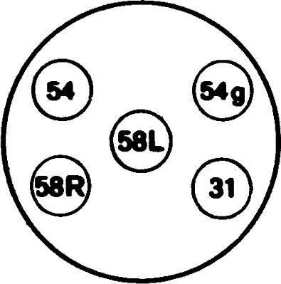 HELLA 8JB 001 940-001 - Розетка прицепа parts5.com