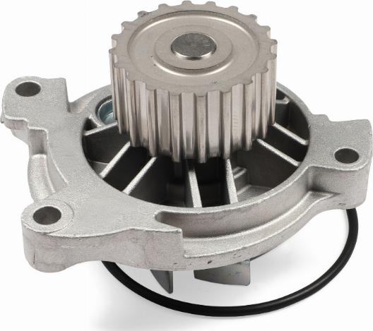 Hepu P546 - Water Pump parts5.com