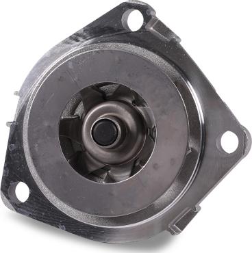 Hepu P1089 - Water Pump parts5.com