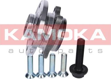 Kamoka 5500069 - Комплект подшипника ступицы колеса parts5.com