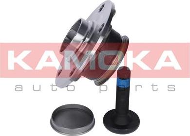 Kamoka 5500119 - Комплект подшипника ступицы колеса parts5.com