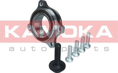 Kamoka 5500174 - Комплект подшипника ступицы колеса parts5.com