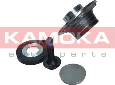 Kamoka 5500172 - Комплект подшипника ступицы колеса parts5.com