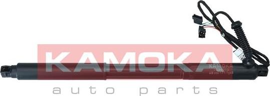 Kamoka 7094013 - Электромотор, задняя дверь parts5.com