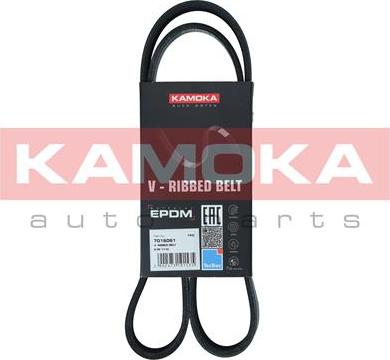 Kamoka 7016061 - Correa trapecial poli V parts5.com