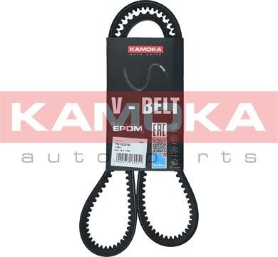 Kamoka 7010310 - Клиновой ремень, поперечные рёбра parts5.com