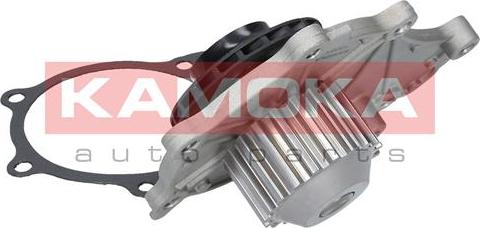 Kamoka T0081 - Water Pump parts5.com