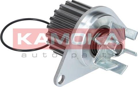 Kamoka T0078 - Водяной насос parts5.com