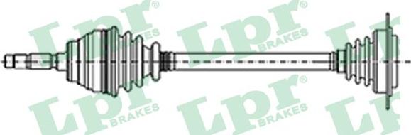 LPR DS51067 - Приводной вал parts5.com