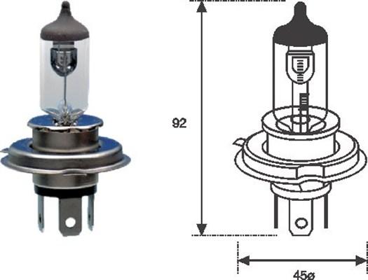 Magneti Marelli 002555100000 - Bulb, spotlight parts5.com