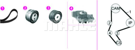 MAHLE CPK 135 000P - Водяной насос + комплект зубчатого ремня parts5.com