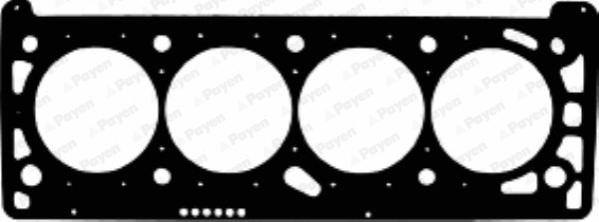 Payen AC5460 - Прокладка, головка цилиндра parts5.com