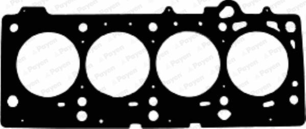 Payen AC5720 - Прокладка, головка цилиндра parts5.com