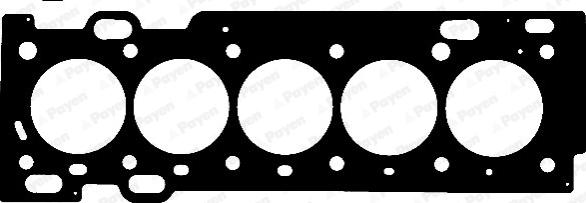 Payen AE5560 - Прокладка, головка цилиндра parts5.com