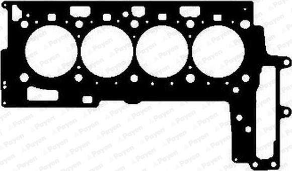 Payen AG5020 - Прокладка, головка цилиндра parts5.com