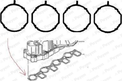 Payen HA5069 - Комплект прокладок, впускной коллектор parts5.com