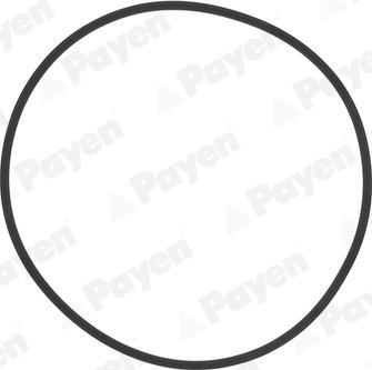 Payen HL5383 - Комплект прокладок, гильза цилиндра parts5.com