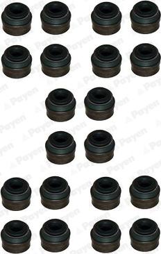 Payen HR822 - Seal Set, valve stem parts5.com