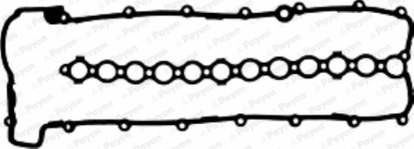 Payen JM5106 - Прокладка, крышка головки цилиндра parts5.com