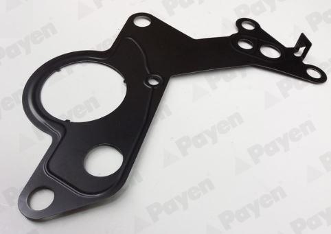 Payen KK5746 - Прокладка, топливный насос parts5.com