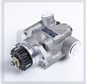 PE Automotive 10250000A - Hydraulic Pump, steering system parts5.com