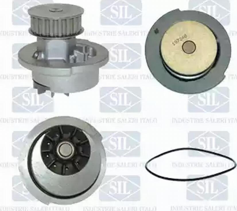 SALERI PA437P - Water Pump parts5.com