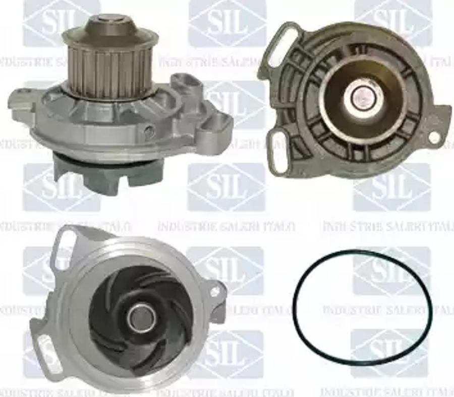 SALERI PA663P - Water Pump parts5.com