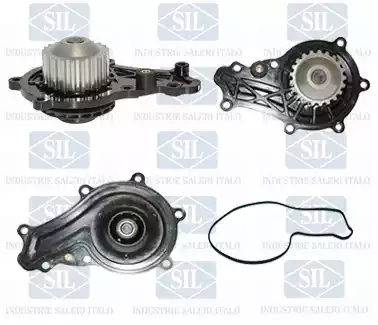 SALERI PA1136 - Water Pump parts5.com