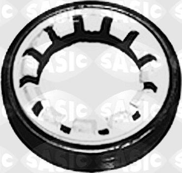 Sasic 1213263 - Уплотняющее кольцо, дифференциал parts5.com