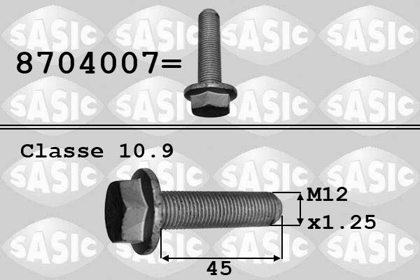 Sasic 8704007 - Болт шкива parts5.com