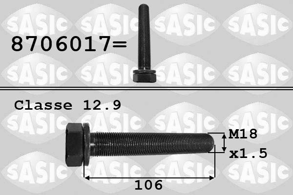 Sasic 8706017 - Болт шкива parts5.com