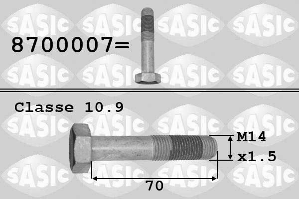 Sasic 8700007 - Болт шкива parts5.com