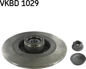 SKF VKBD 1029 - Тормозной диск parts5.com