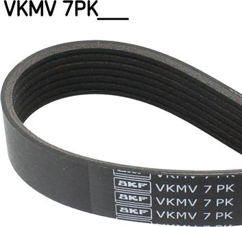 SKF VKMV 7PK1975 - V-Ribbed Belt parts5.com