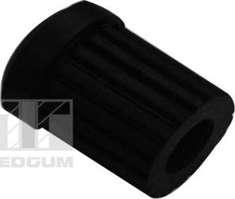 Tedgum 00463408 - Подвеска, листовая рессора parts5.com