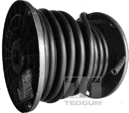 Tedgum 00814524 - Топливный шланг parts5.com