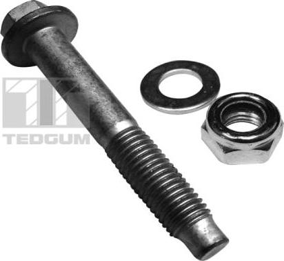 Tedgum 00228320 - Болт parts5.com