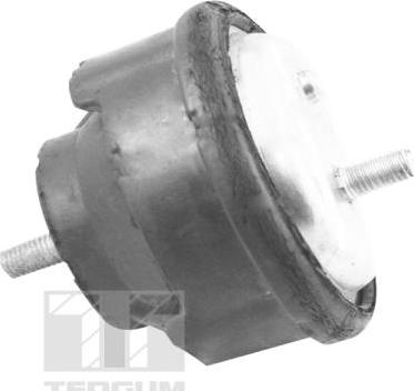 Tedgum TED12723 - Подушка, опора, подвеска двигателя parts5.com