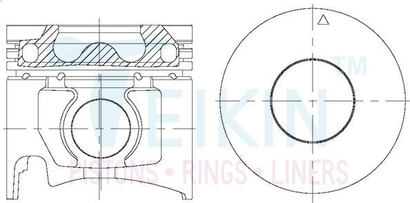 Teikin 43695AGSTD - Поршень parts5.com