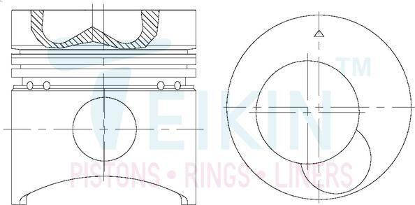 Teikin 43668ASTD - Поршень parts5.com