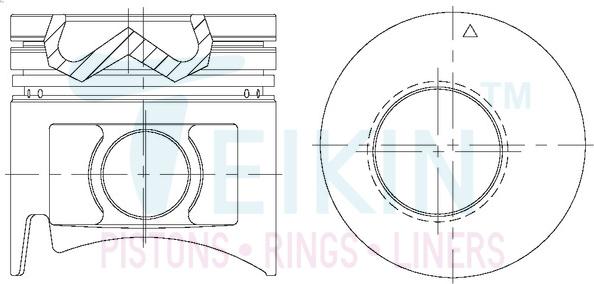 Teikin 43266ASTD - Поршень parts5.com