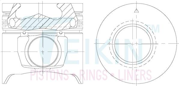 Teikin 39664AGSTD - Поршень parts5.com