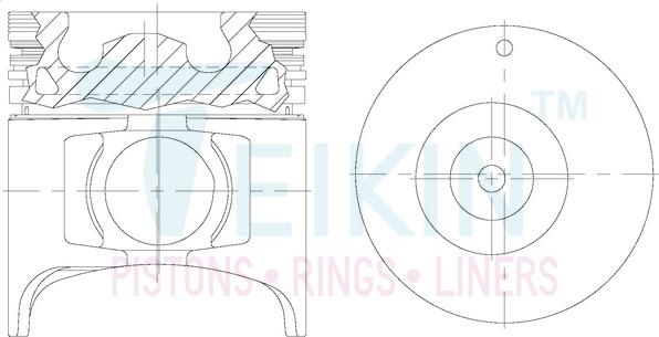 Teikin 39666AGSTD - Поршень parts5.com