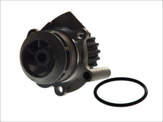 Thermotec D1W039TT - Water Pump parts5.com