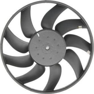 Thermotec D8X021TT - Вентилятор, охлаждение двигателя parts5.com
