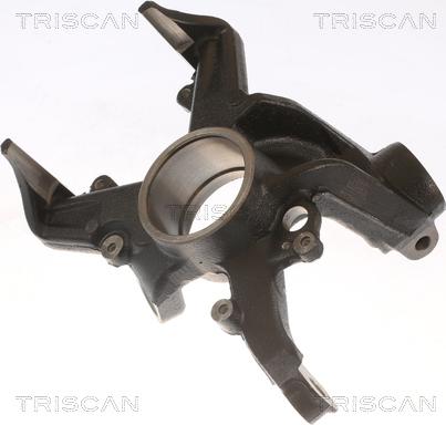 Triscan 8500 29703 - Поворотный кулак, подвеска колеса parts5.com